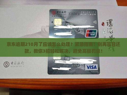 京东白条逾期210月了应该怎么处理