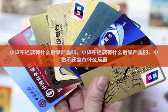 小贷不还款有什么后果严重