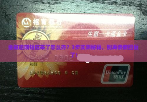 招联金融逾期诉讼短信应对策略大揭秘