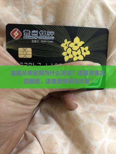招联金融从未逾期为什么冻结