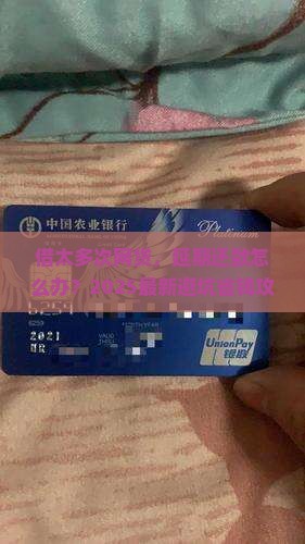 借太多次网贷怎么办理延期还款