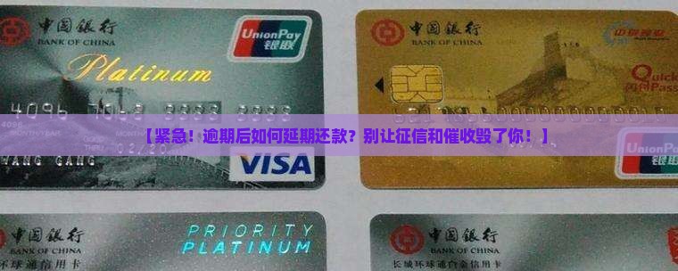 白条逾期后如何延期还款