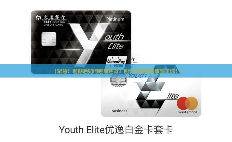 白条逾期后如何延期还款
