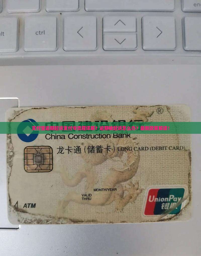 支付宝逾期起诉支付令流程详解