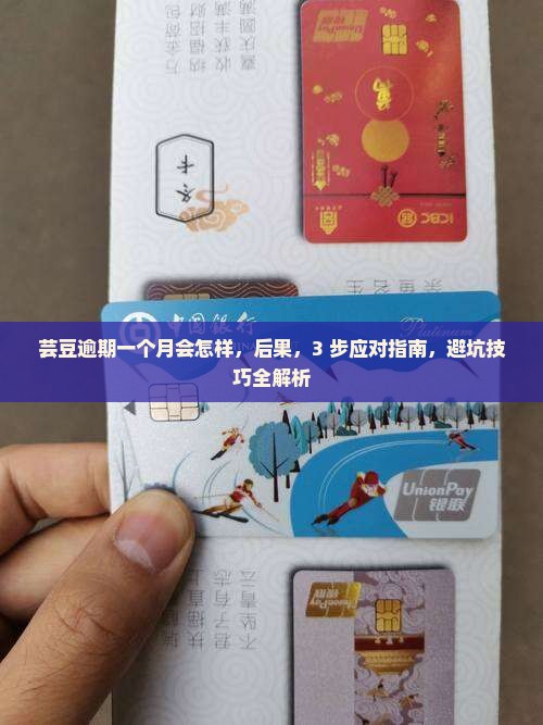 芸豆逾期一个月会怎样