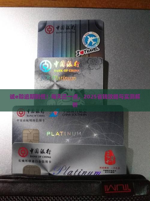 诚e赊逾期每天还一些的方法和技巧