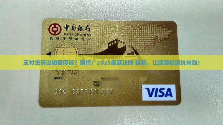 支付贷诉讼协商停催的解决方法