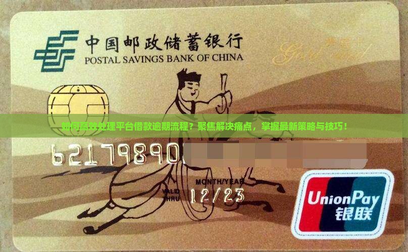 如何高效处理平台借款逾期流程？聚焦解决痛点，掌握最新策略与技巧！