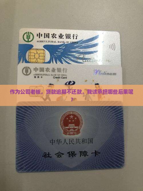 作为公司老板，贷款逾期不还款，我该承担哪些后果呢？