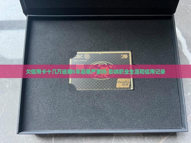欠信用卡十几万逾期5年后果严重吗-影响职业生涯和信用记录