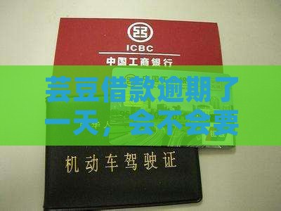 芸豆借款逾期了一天，会不会要求全额还款？