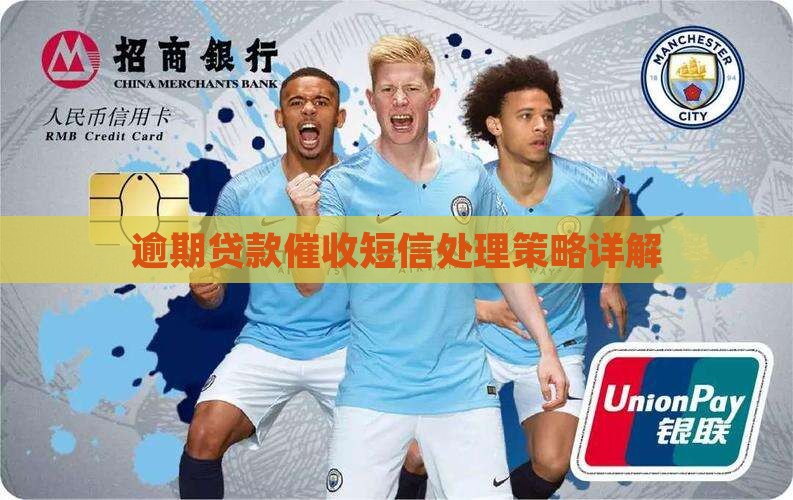 逾期贷款催收短信处理策略详解