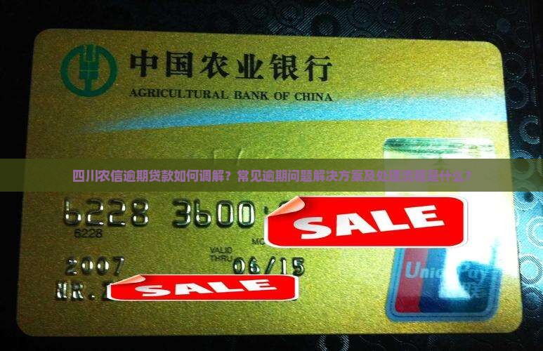 四川农信逾期贷款如何调解？常见逾期问题解决方案及处理流程是什么？