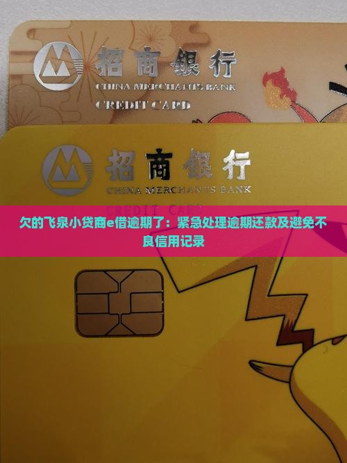 欠的飞泉小贷商e借逾期了：紧急处理逾期还款及避免不良信用记录