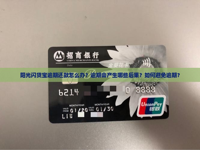 阳光闪贷宝逾期还款怎么办？逾期会产生哪些后果？如何避免逾期？