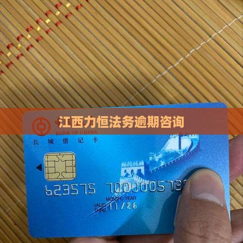 江西力恒法务逾期咨询