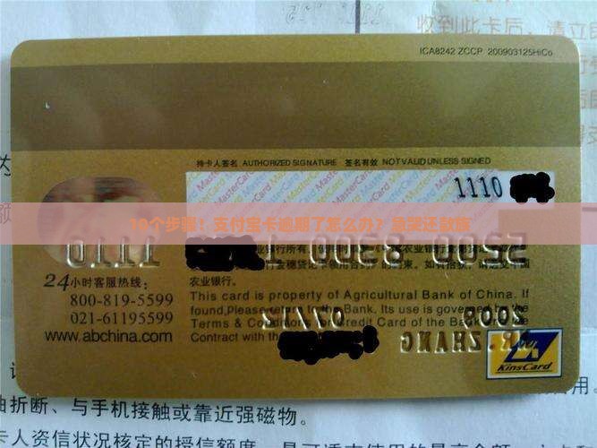 10个步骤！支付宝卡逾期了怎么办？急哭还款族