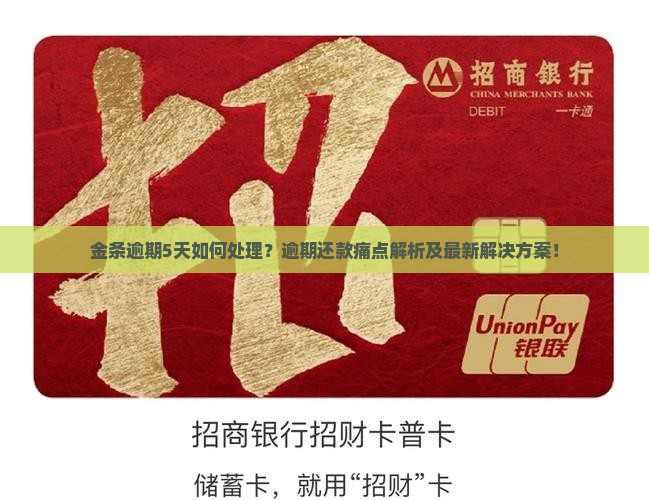 金条逾期5天如何处理？逾期还款痛点解析及最新解决方案！