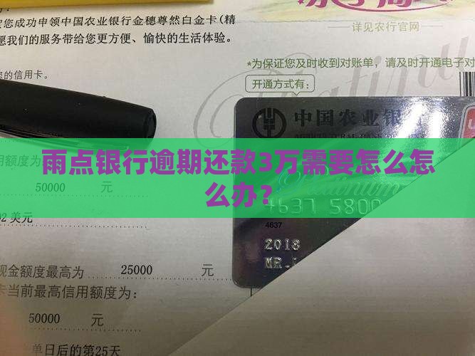 雨点银行逾期还款3万需要怎么怎么办？