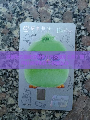 逾期无力偿还信用卡几万欠款怎么办？如何补救信用还不起怎么办