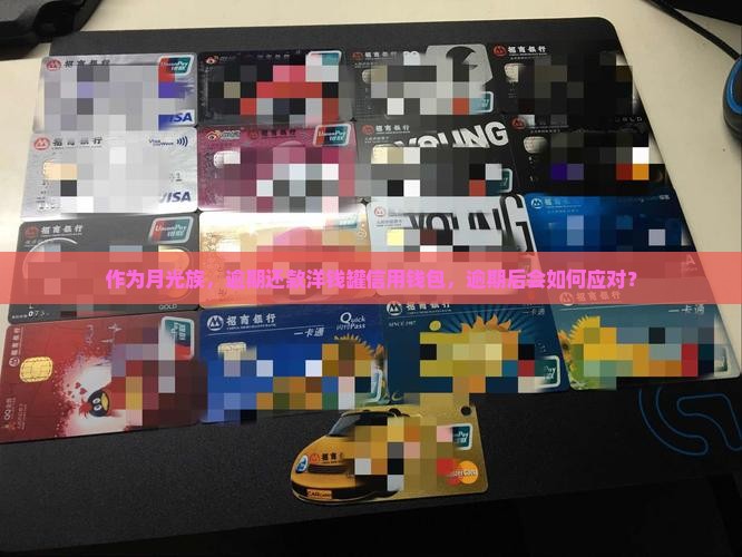作为月光族，逾期还款洋钱罐信用钱包，逾期后会如何应对？