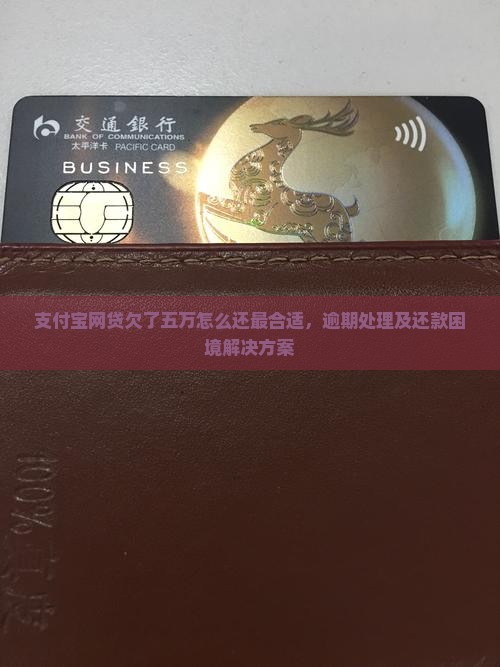 支付宝网贷欠了五万怎么还最合适，逾期处理及还款困境解决方案