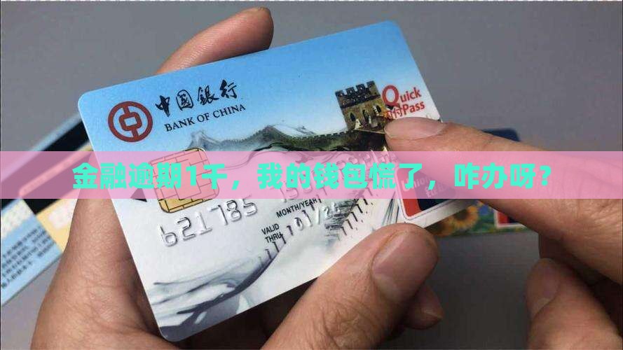 金融逾期1千，我的钱包慌了，咋办呀？