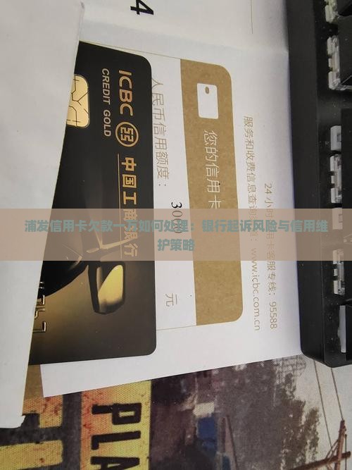 浦发信用卡欠款一万如何处理：银行起诉风险与信用维护策略