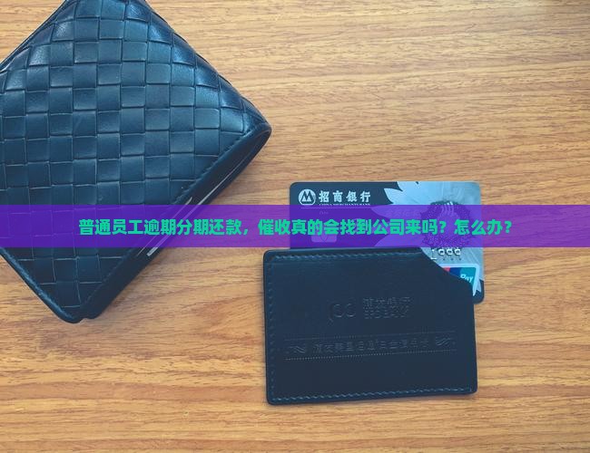 普通员工逾期分期还款，催收真的会找到公司来吗？怎么办？