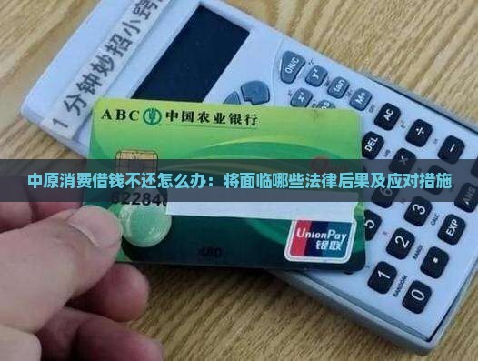 中原消费借钱不还怎么办：将面临哪些法律后果及应对措施