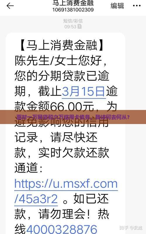 面对一万网贷和六万信用卡债务，我该何去何从？