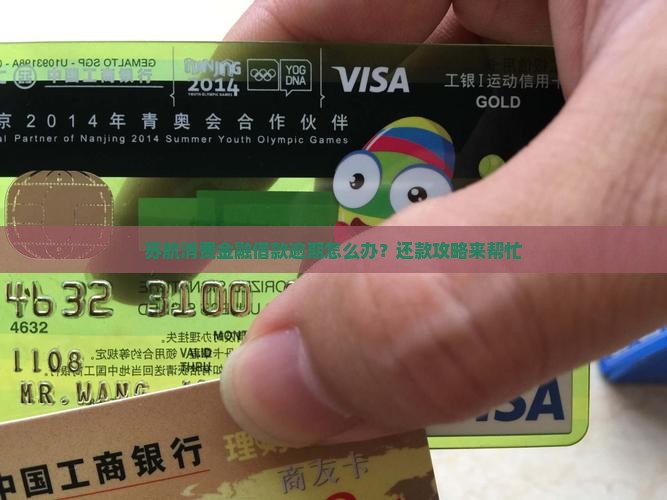 苏航消费金融借款逾期怎么办？还款攻略来帮忙