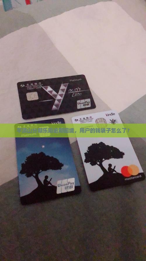 平顶山分期乐陷逾期困境，用户的钱袋子怎么了？
