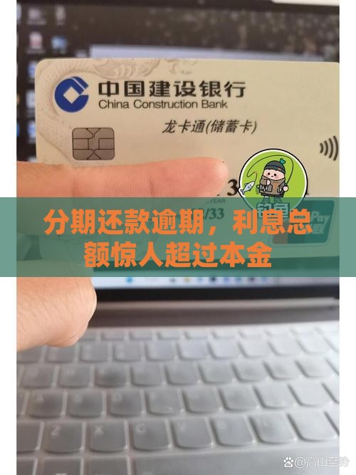 分期还款逾期，利息总额惊人超过本金