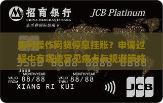如何操作网贷停息挂账？申请过程中有哪些常见痛点与规避策略？