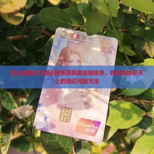 怎么处理无力偿还网贷高利息逾期债务，有效解决还不上的偿还问题方法