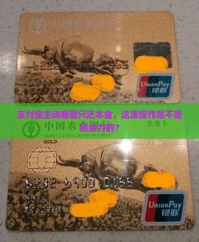 支付宝主动商量只还本金，这波操作是不是挺给力的？