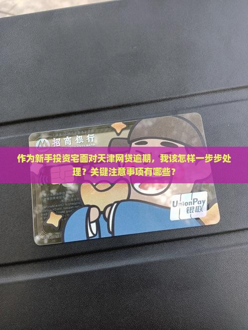 作为新手投资宅面对天津网贷逾期，我该怎样一步步处理？关键注意事项有哪些？