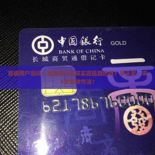 普通用户急问：浦发银行怎样实现延期还款？手头紧，求5步解决方法！