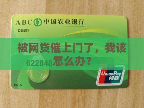 被网贷催上门了，我该怎么办？