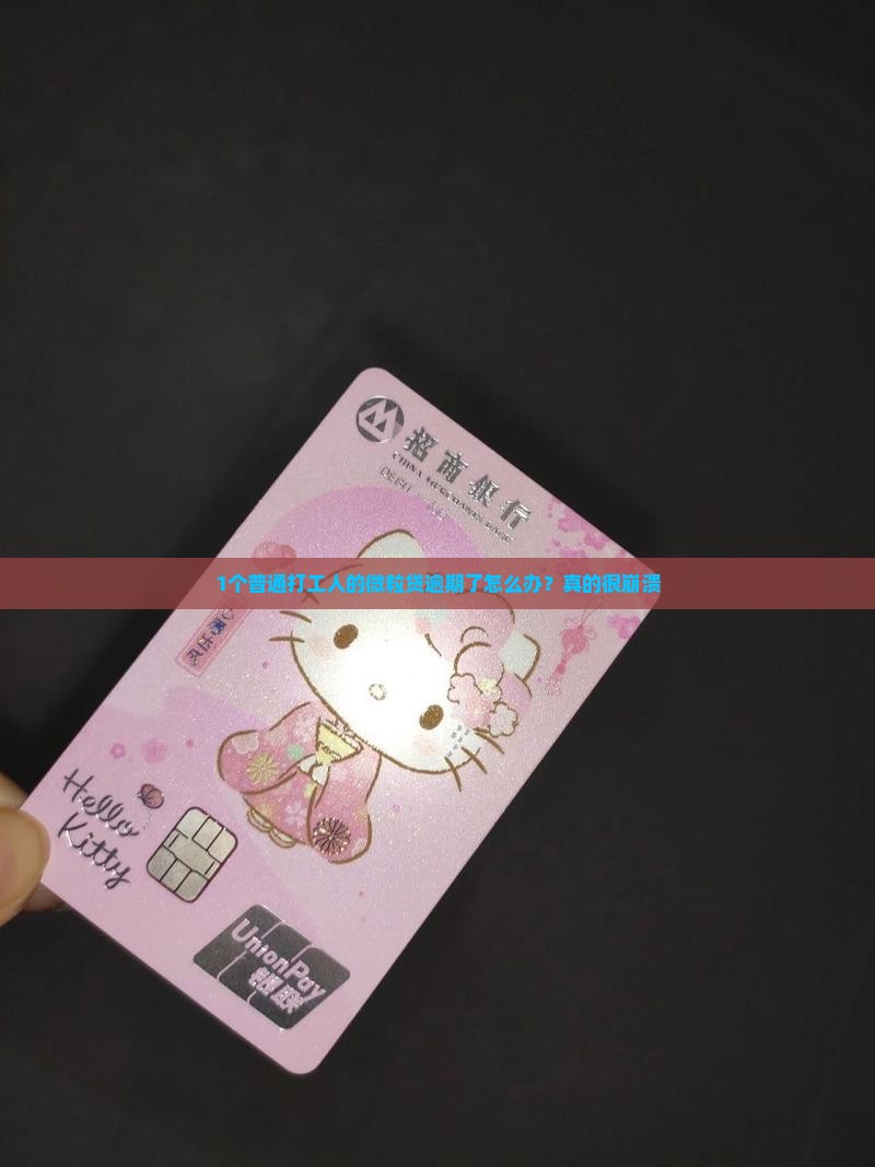 1个普通打工人的微粒贷逾期了怎么办？真的很崩溃