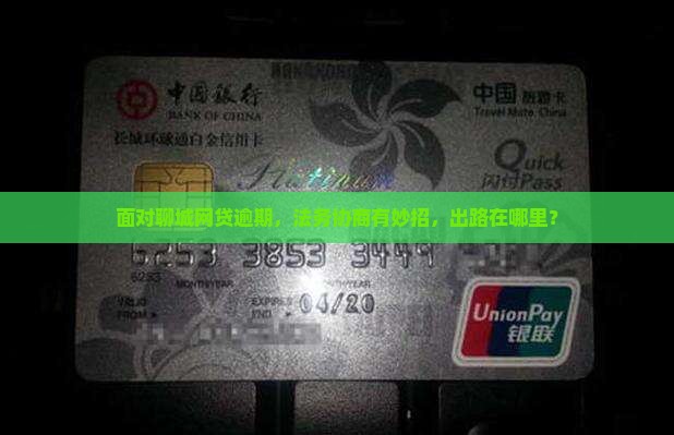 面对聊城网贷逾期，法务协商有妙招，出路在哪里？