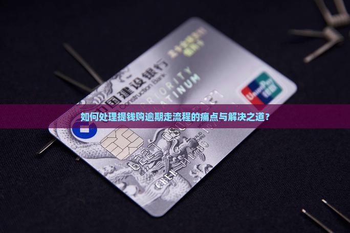 如何处理提钱购逾期走流程的痛点与解决之道？