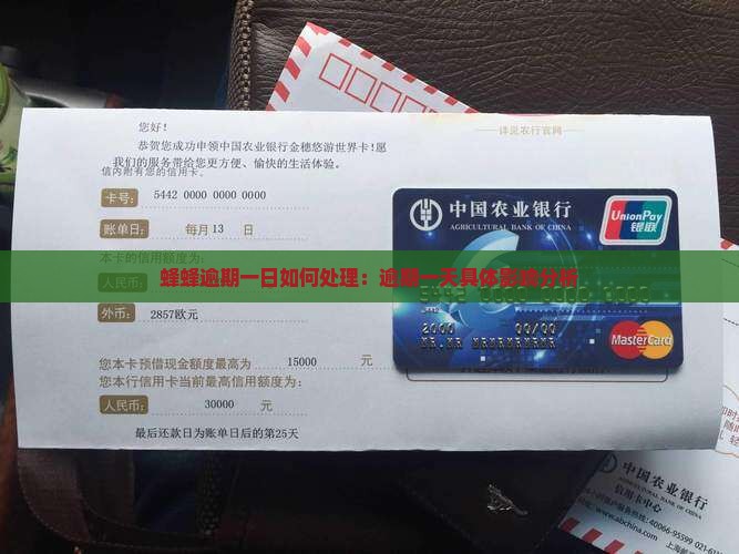 蜂蜂逾期一日如何处理：逾期一天具体影响分析