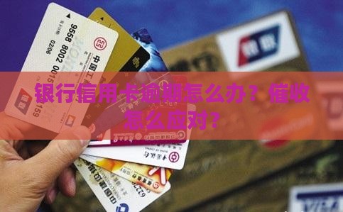 银行信用卡逾期怎么办？催收怎么应对？