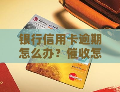 银行信用卡逾期怎么办？催收怎么应对？