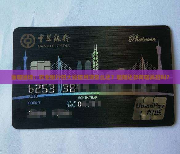 面临困境：农业银行的大额信用贷怎么还？逾期还款有啥高招吗？