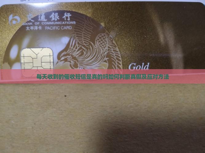 每天收到的催收短信是真的吗如何判断真假及应对方法