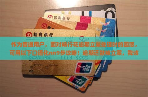 作为普通用户，面对畅行花逾期立案处理时的困惑，可用以下口语化nn9步攻略！逾期还款被立案，我该怎么冷静应对？