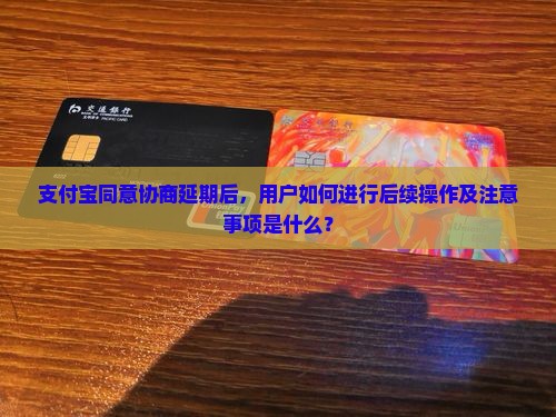 支付宝同意协商延期后，用户如何进行后续操作及注意事项是什么？
